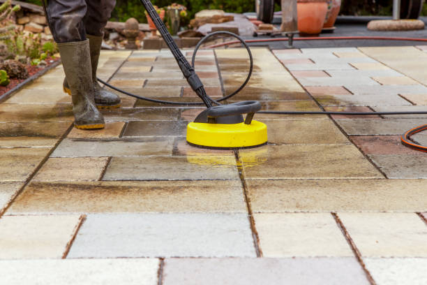 Best Solar Panel Cleaning  in Archie, MO